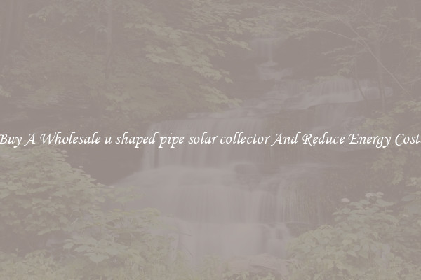 Buy A Wholesale u shaped pipe solar collector And Reduce Energy Costs
