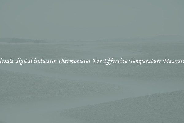 Wholesale digital indicator thermometer For Effective Temperature Measurement