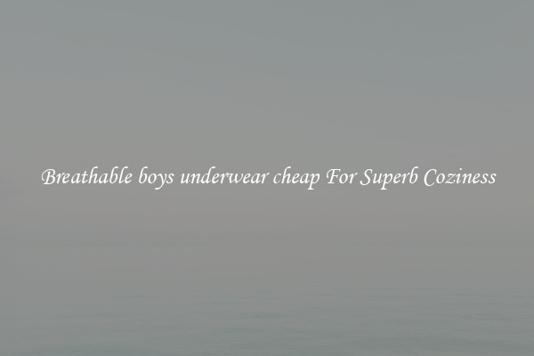 Breathable boys underwear cheap For Superb Coziness