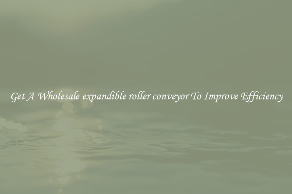 Get A Wholesale expandible roller conveyor To Improve Efficiency
