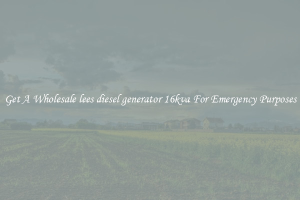 Get A Wholesale lees diesel generator 16kva For Emergency Purposes
