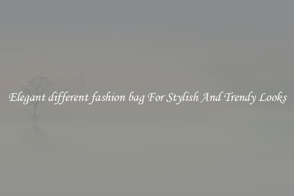 Elegant different fashion bag For Stylish And Trendy Looks