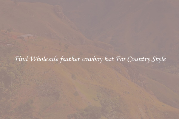 Find Wholesale feather cowboy hat For Country Style
