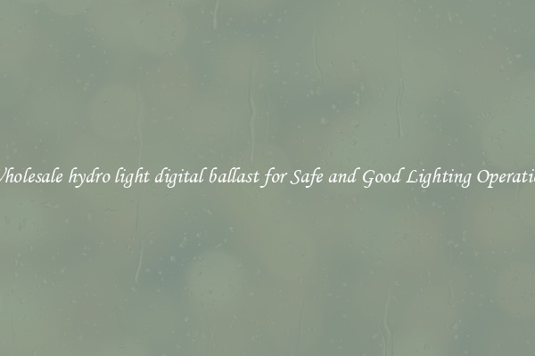 Wholesale hydro light digital ballast for Safe and Good Lighting Operation
