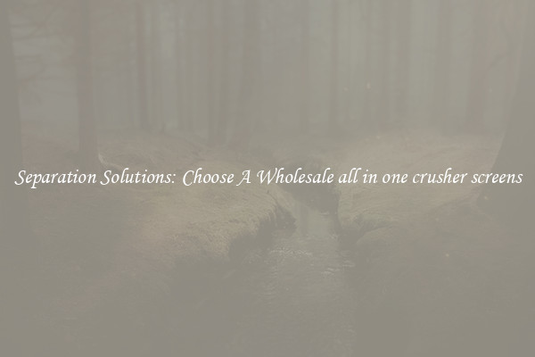 Separation Solutions: Choose A Wholesale all in one crusher screens