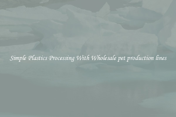 Simple Plastics Processing With Wholesale pet production lines