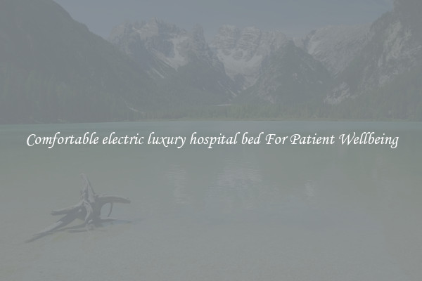 Comfortable electric luxury hospital bed For Patient Wellbeing