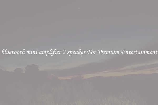 bluetooth mini amplifier 2 speaker For Premium Entertainment