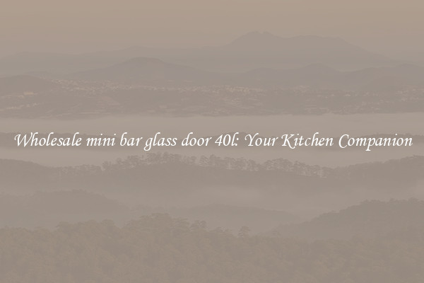 Wholesale mini bar glass door 40l: Your Kitchen Companion