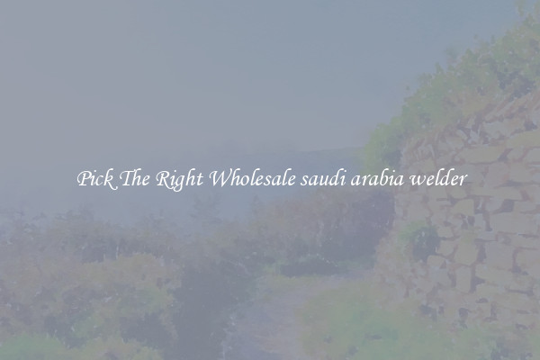 Pick The Right Wholesale saudi arabia welder