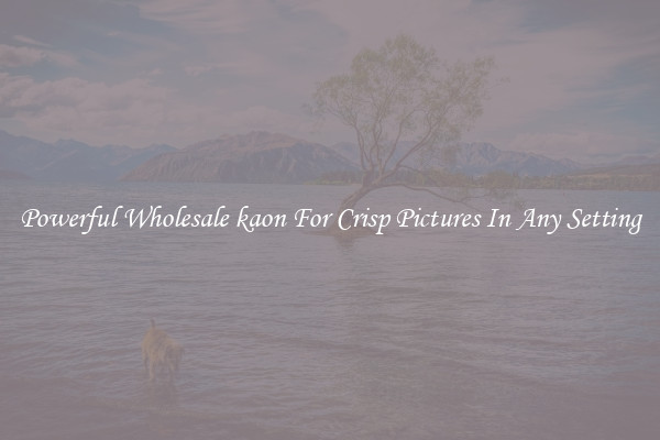 Powerful Wholesale kaon For Crisp Pictures In Any Setting