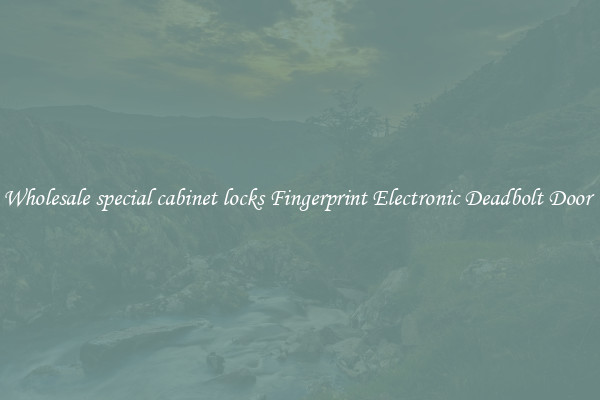 Wholesale special cabinet locks Fingerprint Electronic Deadbolt Door 