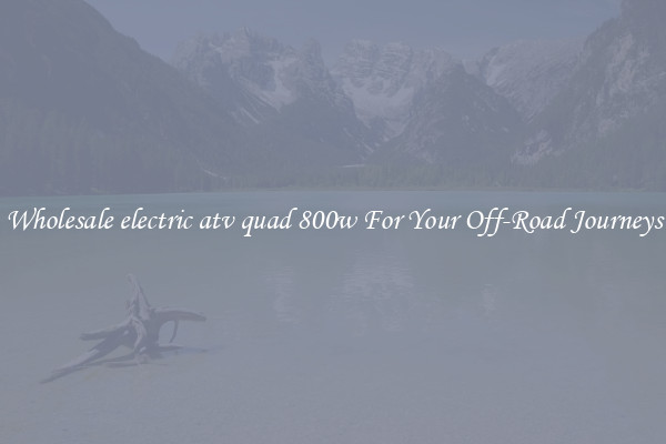 Wholesale electric atv quad 800w For Your Off-Road Journeys
