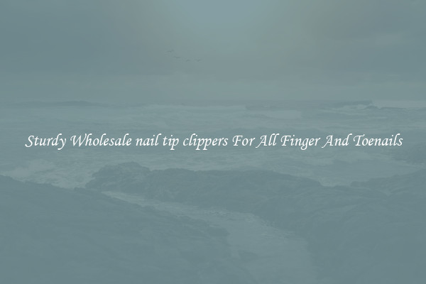 Sturdy Wholesale nail tip clippers For All Finger And Toenails