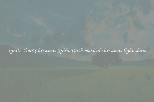 Ignite Your Christmas Spirit With musical christmas light show