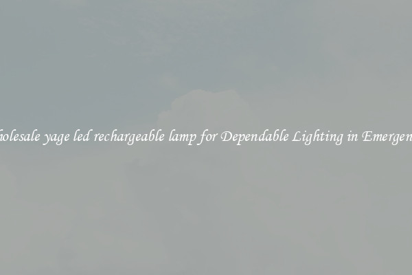 Wholesale yage led rechargeable lamp for Dependable Lighting in Emergencies