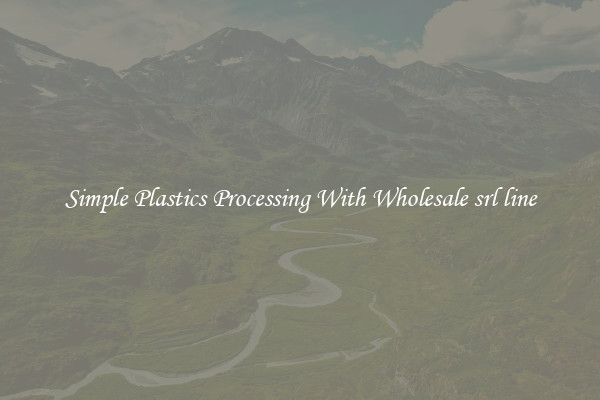 Simple Plastics Processing With Wholesale srl line