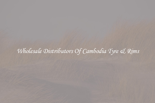 Wholesale Distributors Of Cambodia Tyre & Rims