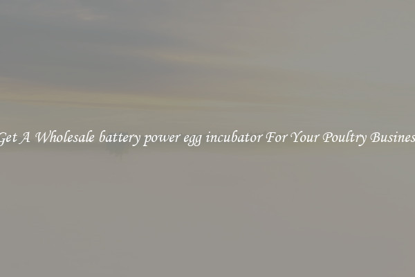 Get A Wholesale battery power egg incubator For Your Poultry Business