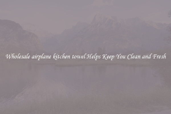 Wholesale airplane kitchen towel Helps Keep You Clean and Fresh