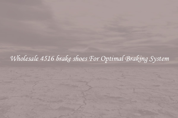Wholesale 4516 brake shoes For Optimal Braking System